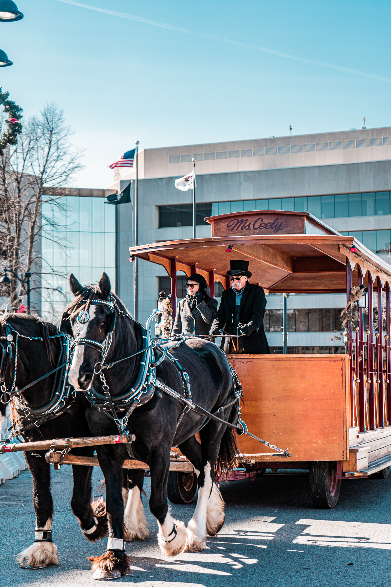 13th Annual Belleville Christkindlmarkt